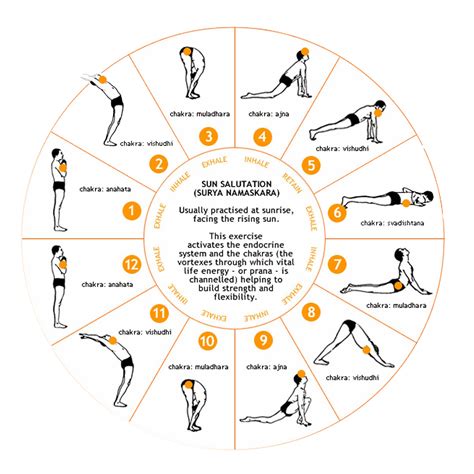 Workout Of My Life: Surya Namaskar | Yoga the way to Workout of My Life