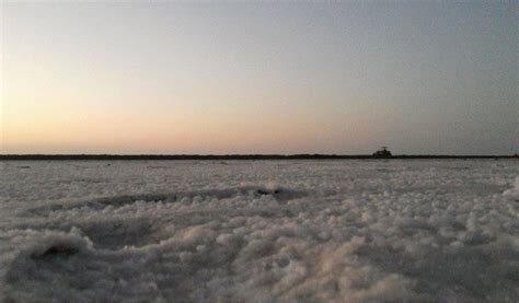 Wildlife Tour To Little Rann Of Kutch