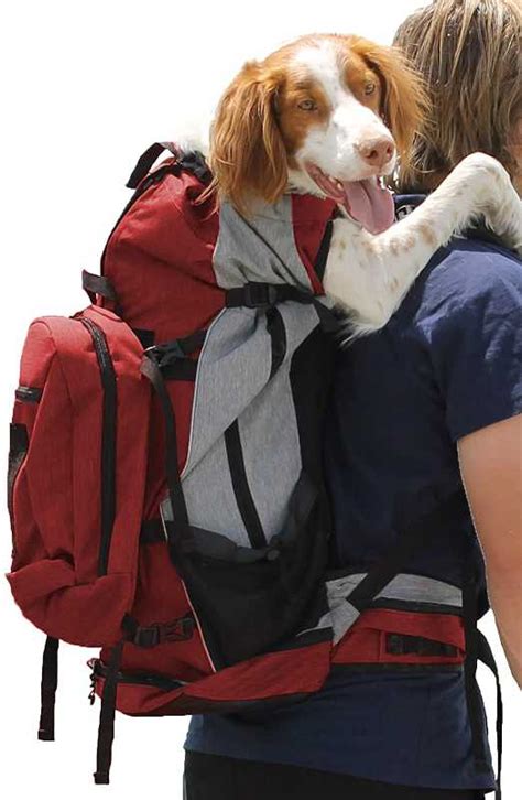 Best Dog Backpack Carrier For Biking | UMD College of Information ...