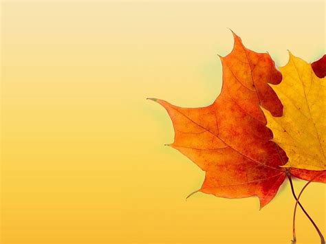 Fall Colors Backgrounds - Wallpaper Cave