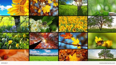 Multi-screen Nature Montage Stock video footage | 8994821