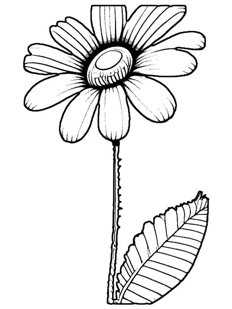 Doodle Flower Coloring Page Whimsical Realistic · Creative Fabrica