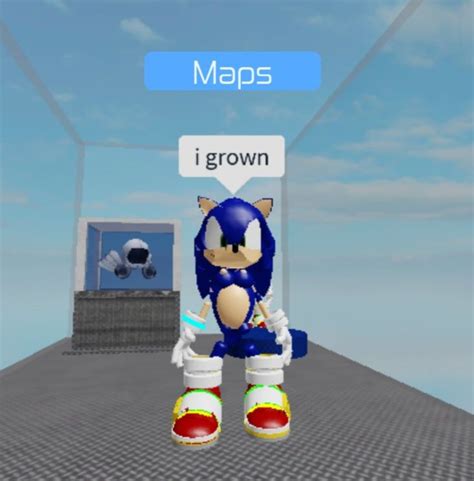 sonic on roblox!? | Mario characters, Character, Fictional characters