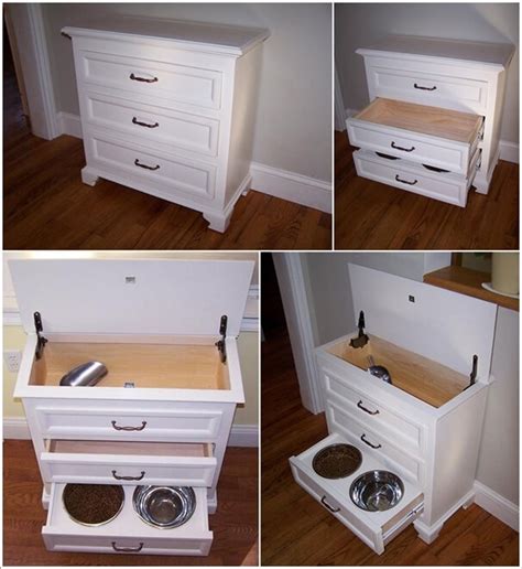 10 Cool DIY Pet Projects for Your Furry Friends