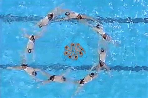 Synchronized Swimming GIFs - Find & Share on GIPHY