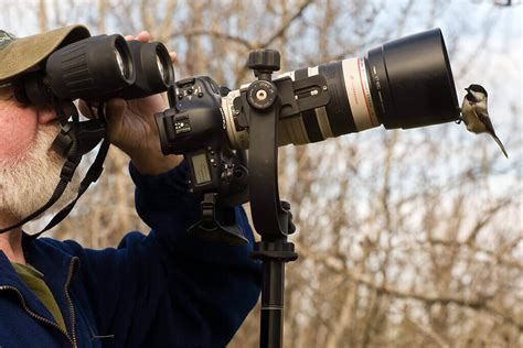 Top 5 Best Camera For Wildlife Photography in 2021 - ForTravelista