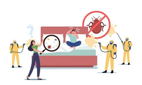 Complete Guide on Bed Bug Prevention and Extermination | UAE Central