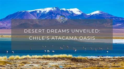 Desert Dreams Unveiled: Chile's Atacama Oasis