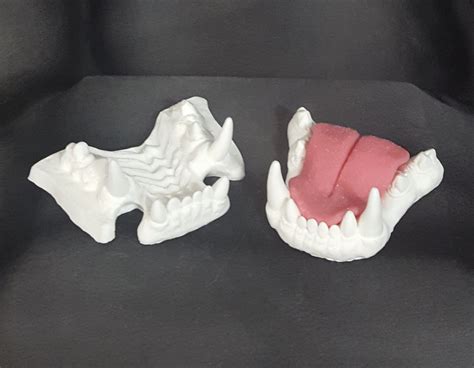 Realistic Fursuit Teeth for Fursuit Base Moving Jaw, Full Resin Fursuit Jawset Realistic Tongue ...