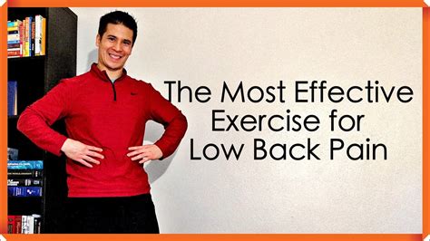 Effective Exercises for Chronic Low Back Pain Treatment - YouTube