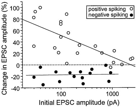 Dependence of synaptic modifications on the initial synaptic strength ...