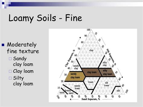 PPT - Lecture 2a – Soil Texture Soil Texture = %Sand, Silt & Clay in a ...