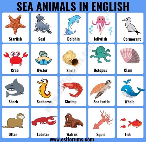 Sea Animals: List of 20+ Interesting Sea, Ocean Animals with the Picture - ESL Forums | Ocean ...