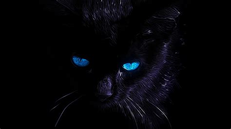 Cat Blue Eyes Wallpapers - Top Free Cat Blue Eyes Backgrounds - WallpaperAccess