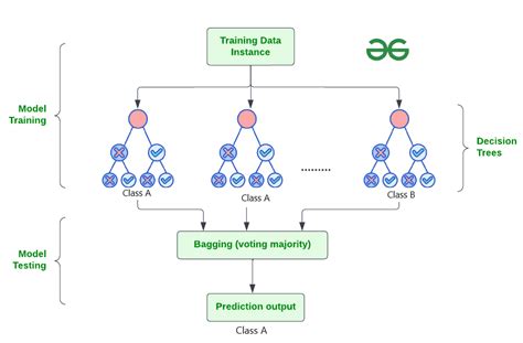 Random Forest Algorithm in Machine Learning - GeeksforGeeks