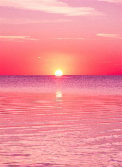 Pink Sunset Wallpapers - Wallpaper Cave