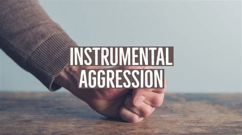 Instrumental Aggression: Definition & Examples