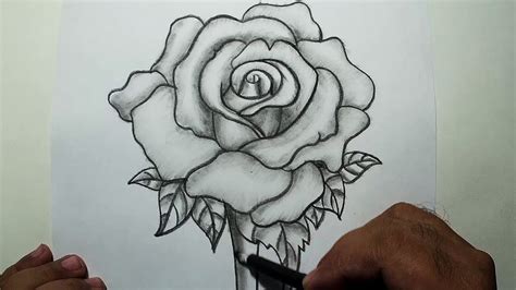 Pencil Shading Drawings Flowers ~ Flower Drawing With Pencil | Zoe ...