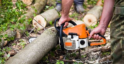 8 Essential Tree Cutting Tools | DSI Contractors