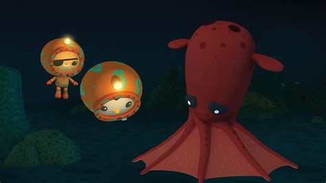 Octonauts - Series 1: 28. The Vampire Squid - BBC iPlayer