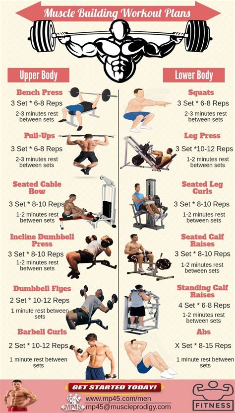 Beginner Gym Workout Routine For Men - WorkoutWalls