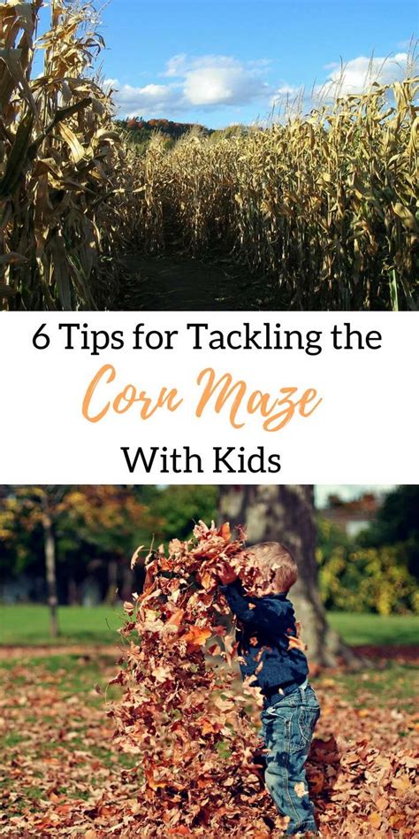 6 Tips for Tackling the Corn Maze with Kids