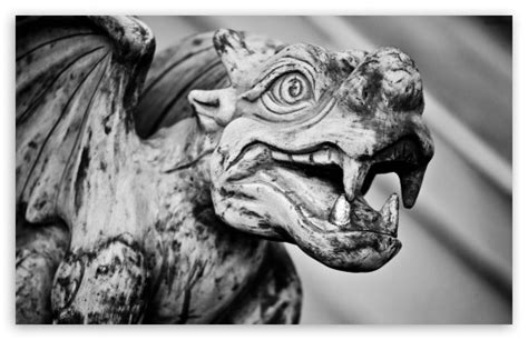 Gargoyle Ultra HD Desktop Background Wallpaper for 4K UHD TV : Widescreen & UltraWide Desktop ...