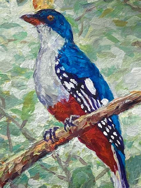 Trogon Bird, Tocororo bird, bird portrait, exotic bird, Acrylic painting by Surin Jung | Artfinder