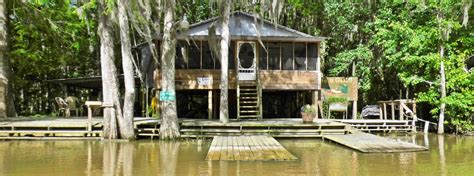 Wildlife in Louisiana: Exploring Honey Island on a Swamp Tour • Globonaut