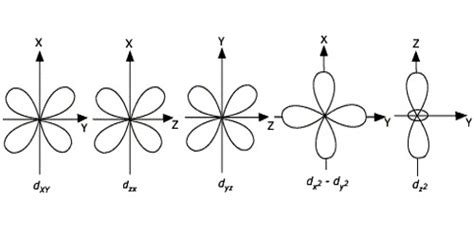 Explain Shape of D-Orbitals - QS Study