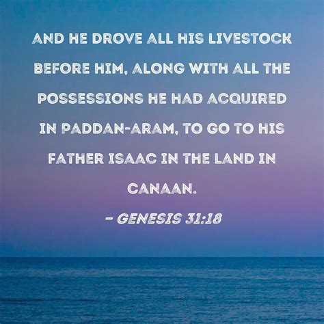 Genesis 31:18 and he drove all his livestock before him, along with all ...