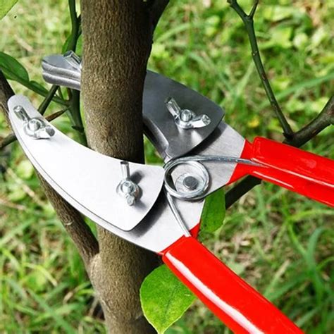 Professional Garden Fruit Tree Ring Cutter Pruning Scissors Ring Shears Ring Knife Bark Stripper ...