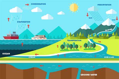 The Water Cycle - MI Water Stewardship