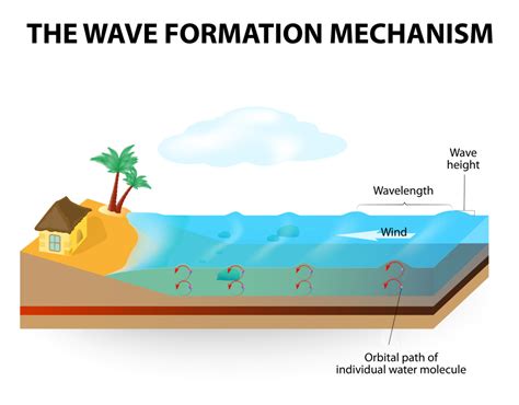 How Waves Form - KidsPressMagazine.com