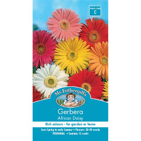 Mr Fothergill's African Daisy Gerbera Flower Seeds | Bunnings Warehouse