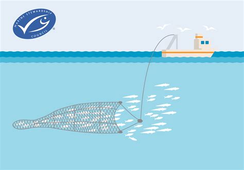 Biggest Fish in the Sea pt. 1: "Complete Guide to Sustainable Fishing Techniques" | Get Cultured ...