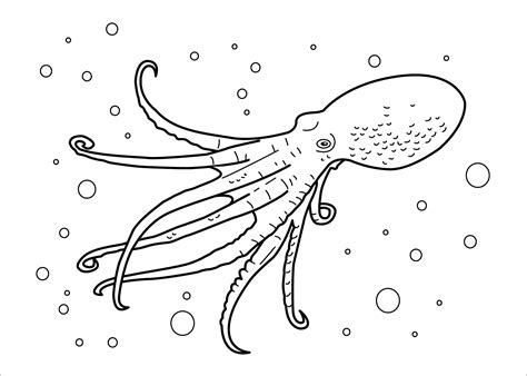 Aquatic Animals Coloring Pages - ColoringBay