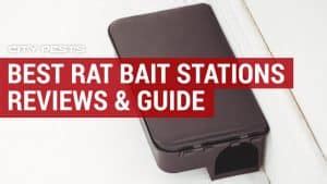 Best Rat Bait Stations 2024 Reviews & Where To Buy | Tomcat & Protecta