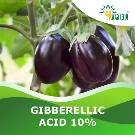 Gibberellic Acid 10% tablet | PGR Manufacturer & Exporter - Peptech