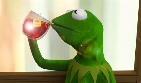 Kermit Meme Drinking Tea