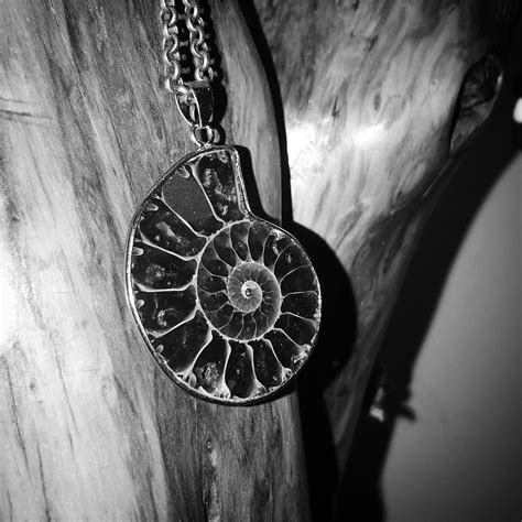 Ammonite Fossil Necklace - Unique Jewelry