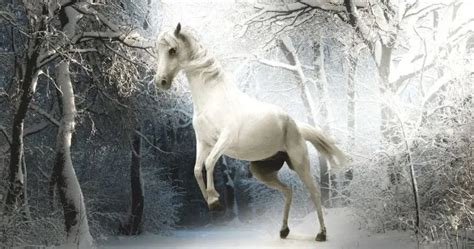 Horse Dream Meaning & Symbolism