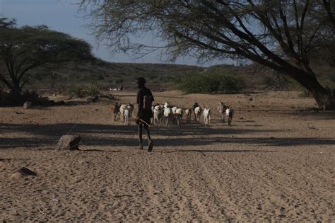 New Beginnings For Turkana Boys - OneChild