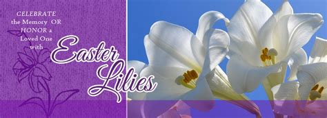 Easter Lilies Order Form - South Hill United Methodist Church