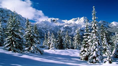 Colorado Winter Wallpaper - WallpaperSafari