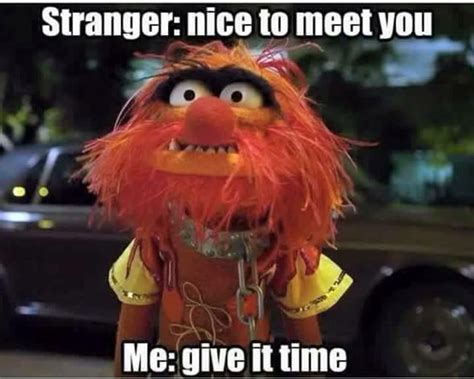 47 best Animal (muppet ) quotes images on Pinterest | Animal muppet, The muppets and Funny images