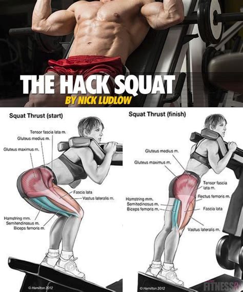 V SQUAT MACHINE | Video & Guide