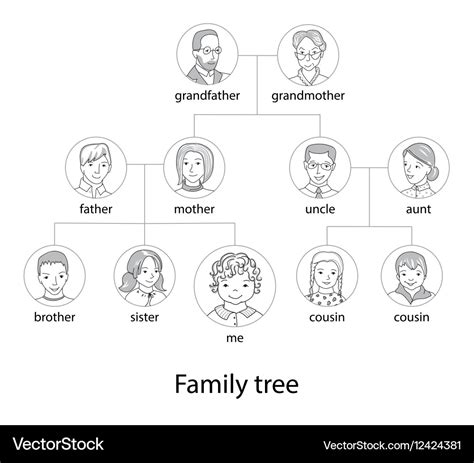 Family tree chart thin line style Royalty Free Vector Image