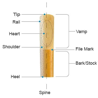 Choosing Your Clarinet Reed - Musical Instrument Hire Co