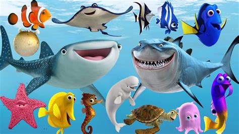 Sea Animals Cartoon Youtube